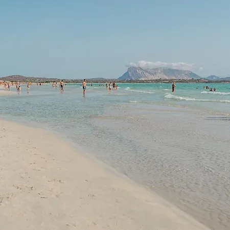 Amareclub Le Rose Ξενοδοχείο