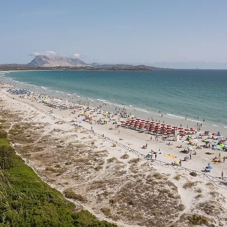 Hotel Amareclub Le Rose 4*