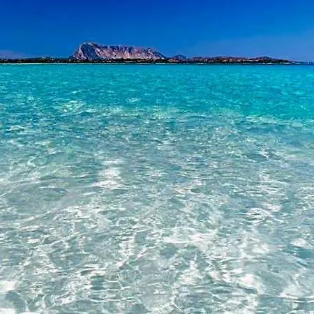 Amareclub Le Rose 4* San Teodoro (Sardinia)