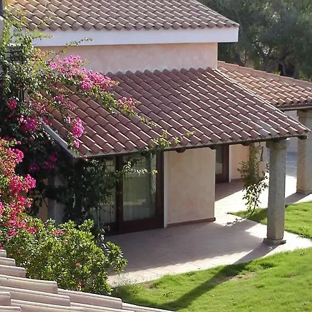 Amareclub Le Rose