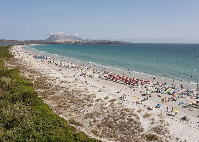 Szálloda Amareclub Le Rose 4*